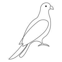 Continuous single line art drawing pet pigeon hand drawn in doodle style sketch stock illustration vector