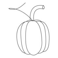 The pumpkin fresh fruit for icon outline vector illustration design continuous one line drawing