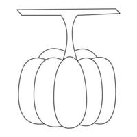 The pumpkin fresh fruit for icon outline vector illustration design continuous one line drawing