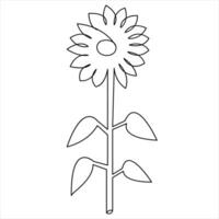 Sunflower continuous single line art drawing outline vector art illustration design minimalist