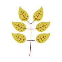 Leaf flat illustration on isolated background vector