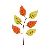 Leaf flat illustration on isolated background vector