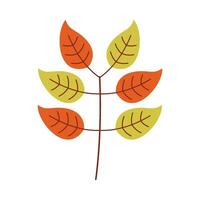 Leaf flat illustration on isolated background vector