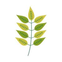 Leaf flat illustration on isolated background vector