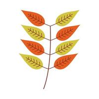 Leaf flat illustration on isolated background vector