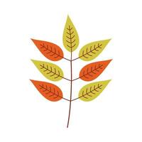 Leaf flat illustration on isolated background vector