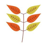 Leaf flat illustration on isolated background vector