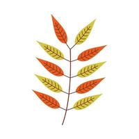 Leaf flat illustration on isolated background vector