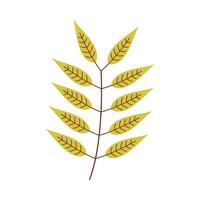 Leaf flat illustration on isolated background vector