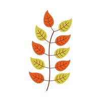 Leaf flat illustration on isolated background vector