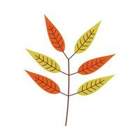 Leaf flat illustration on isolated background vector