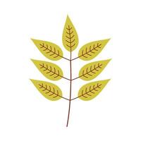 Leaf flat illustration on isolated background vector