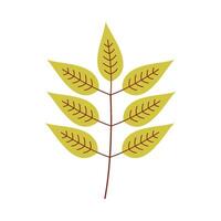 Leaf flat illustration on isolated background vector