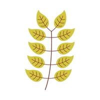 Leaf flat illustration on isolated background vector