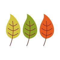 Leaf flat illustration on isolated background vector