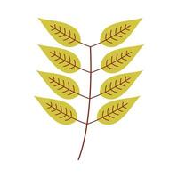 Leaf flat illustration on isolated background vector