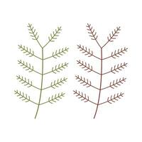 Branch flat illustration on isolated background vector