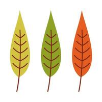 Leaf flat illustration on isolated background vector