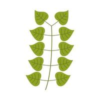 Leaf flat illustration on isolated background vector