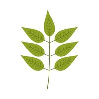 Leaf flat illustration on isolated background vector