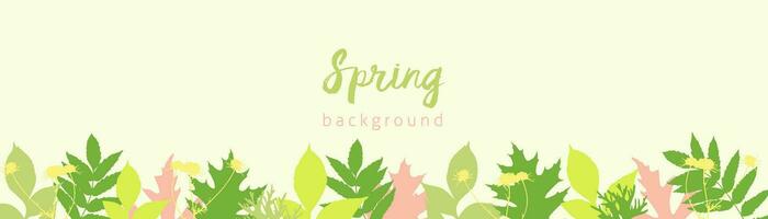 Spring background horizontal with bright young spring leaves. vector