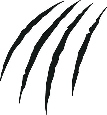 animal Claw scratch mark. Cat tiger dog lion and bear scratches paw shape. vector Illustration