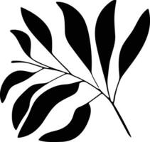 Tropical leave vector. palm leaves silhouette. Tree leaf for decoration element for template vector