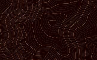 Background of the topographic map. Topo map with elevation. Geographic line mountain relief. Vector stock illustration