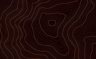 Background of the topographic map. Topo map with elevation. Geographic line mountain relief. Vector stock illustration