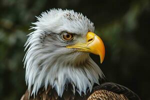 ai generado americano calvo águila foto