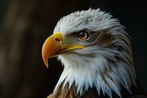 AI generated American bald eagle photo