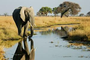 AI generated Picture of a large elephant standing near a river. photo