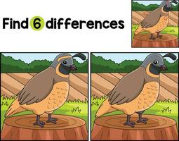 Quail Animal Find The Differences vector