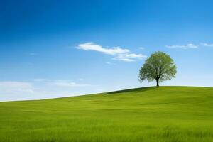 Tree standing in the green field with the blue sky in the background photo