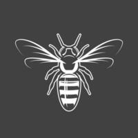 Bee isolated on black background vector