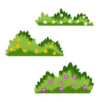 bush illustration design with blooming flowers vector