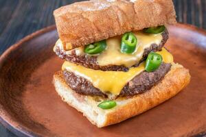 Beef and cheese sandwish photo