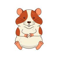 Cute orange and white hamster isolated on white background. vector