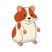 Cute orange and white hamster isolated on white background. vector