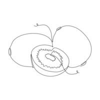 Continuous one line drawing of kiwi fruit. Vector illustration