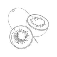 Kiwi fruit in continuous line art drawing style. Black line sketch on white background. Vector illustration for food and nature design element and conceptual