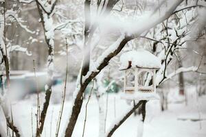 Bird feeder in the winter forest. Bird feeder in the winter forest. photo