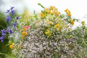 hermosa ramo de flores de flores silvestres en un verano jardín. foto