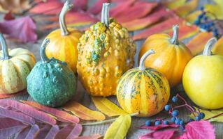 Ornamental pumpkins set photo