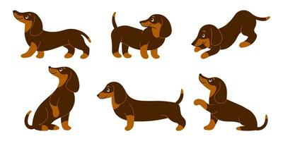 Set of cute purebred dachshund dogs in different poses. Cartoon style illustration, vector