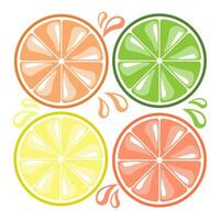 Set, slices of citrus lemons, oranges, grapefruits and limes with juice drops. Decor elements, icons, vector