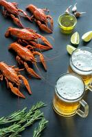 Boiled crayfish with two mugs of beer photo