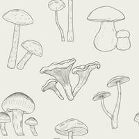 Different mushrooms outline seamless pattern. Hand drawn fungi. Armillaria, blewits, boletus, chanterelle. Black and white vector illustration pattern.