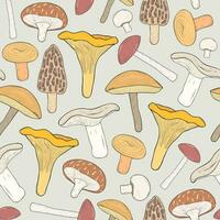 Edible mushrooms seamless pattern. Hand drawn fungi. Birch bolete, blewits, brown, champignon, shiitake, chanterelle, wrinkled. Colorful vector illustration.