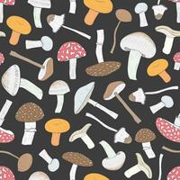 Different inedible mushrooms seamless pattern. Hand drawn fungi. Colorful vector illustration. pattern on black background.